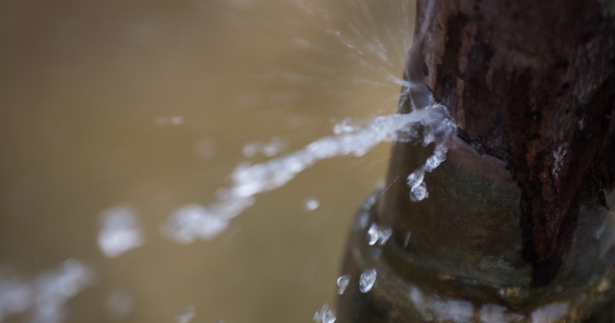 LM Bedrijven - specialist in het opsporen van waterleiding lekkage.